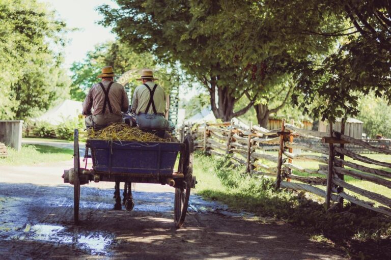 Voitures tirées par des chevaux
