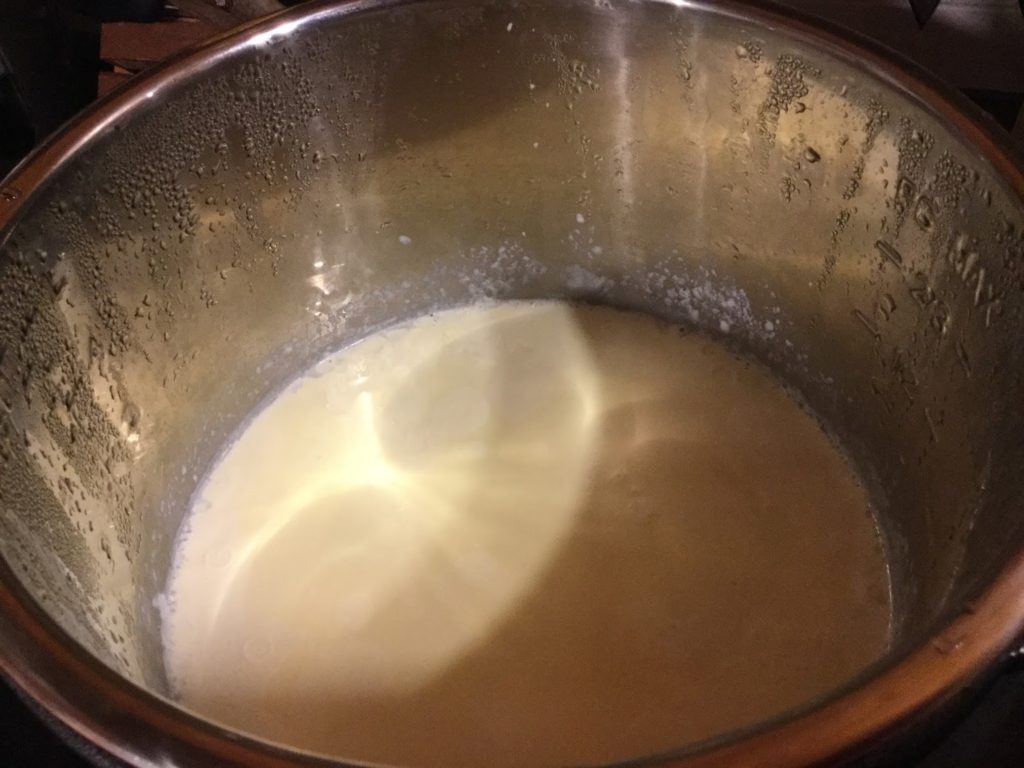 Yogourt instant pot
