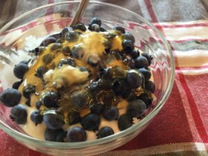 Yogourt aux bleuets frais