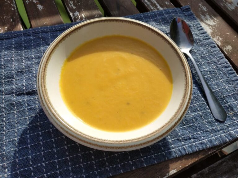 Instant Pot Carrot Orange Soup