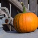 Pumpkin Soup